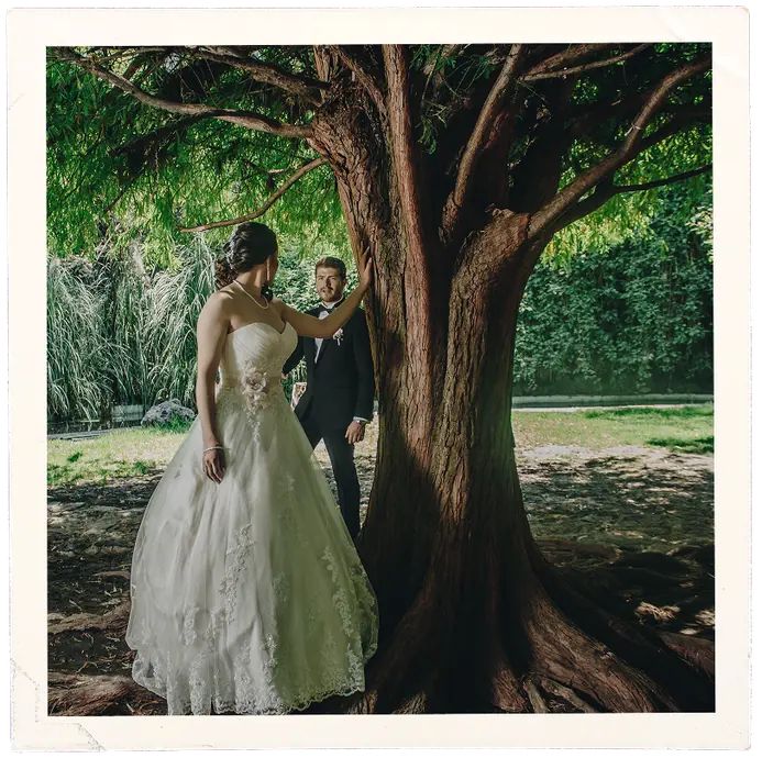 Los novios junto a un árbol grande durante la sesión